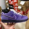 Dunk Purple Lobster pallets